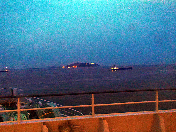 伊良湖の灯りが見えてきた